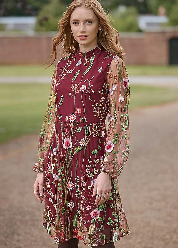 Joe Browns Ellie Floral Embroidered Mesh Long Sleeve Mini Dress - Berry