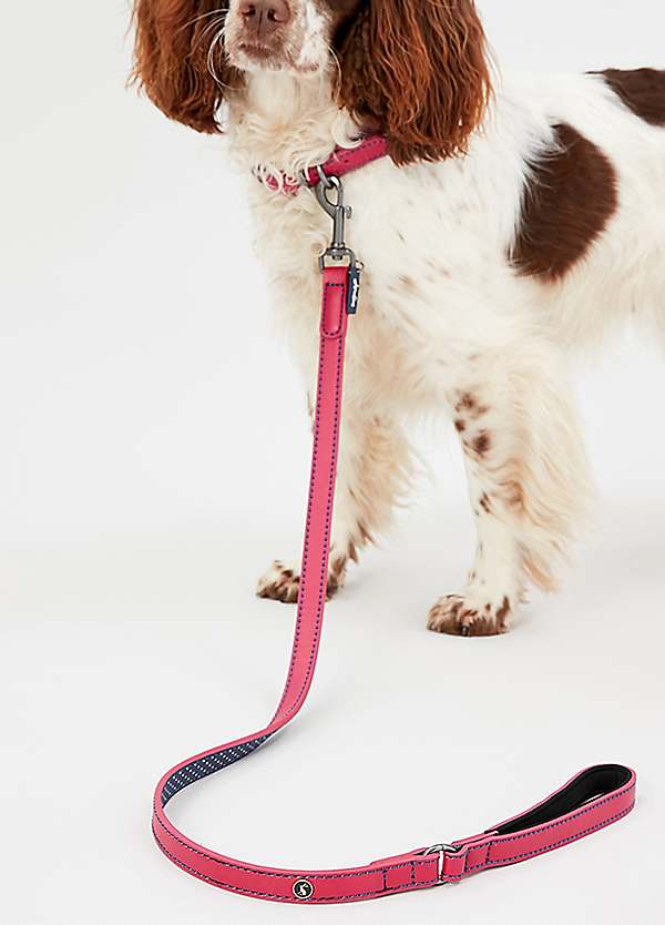 Joules dog lead and collar best sale