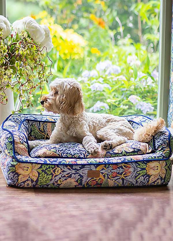 Morris & Co Strawberry Thief Print Pet Sofa - Dark Blue | Freemans