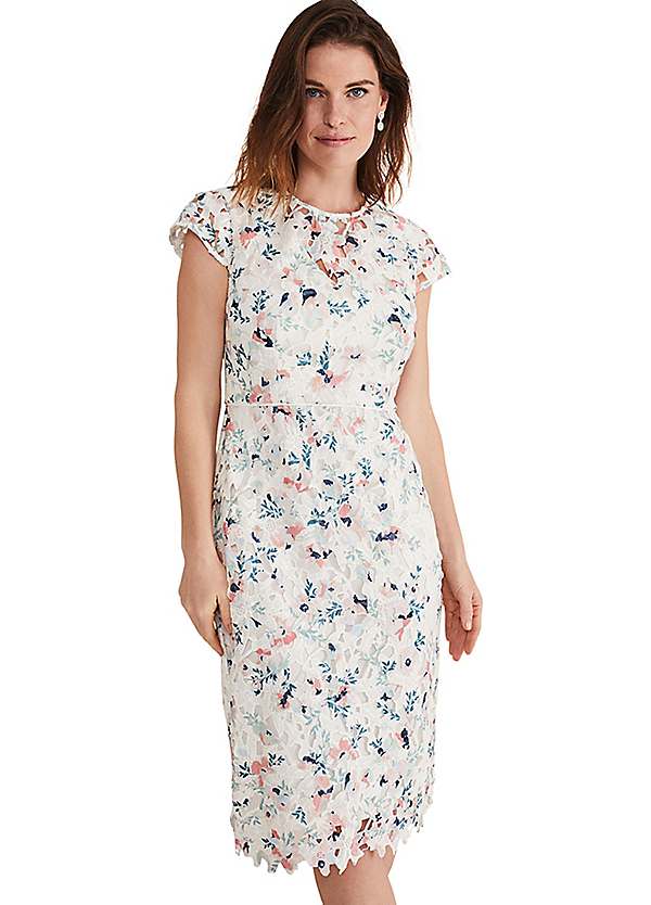 Phase Eight Daisy Lace Midi Dress