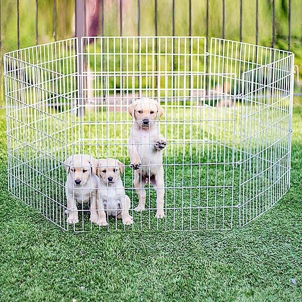 Used cheap dog playpen