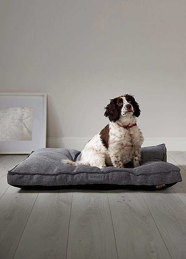 Scruffs hotsell dog mattress