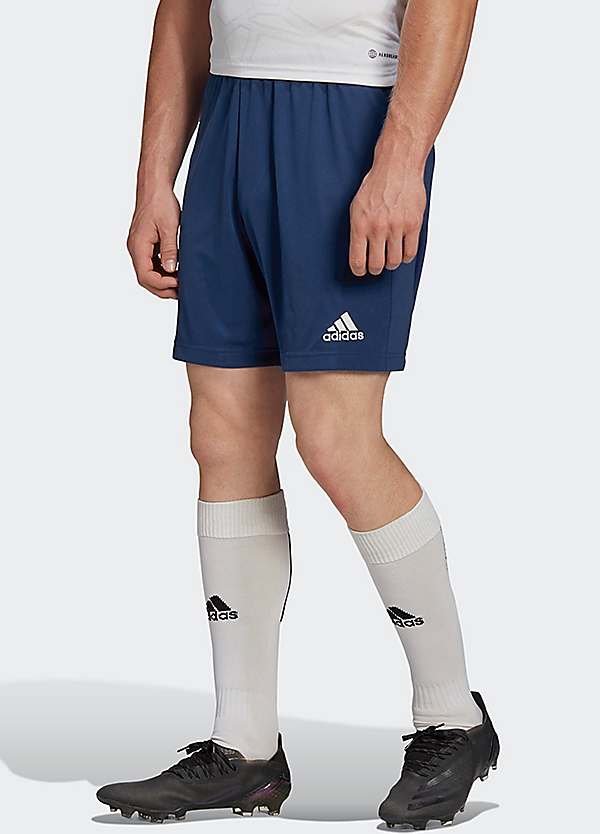 adidas entrada shorts