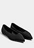 Long Tall Sally Faux Suede Pointed Flats | Freemans