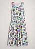Seasalt Cornwall Multi Belle Fit & Flare Midi Dress | Freemans