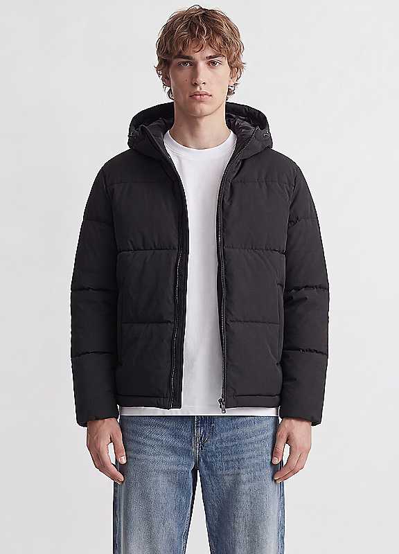 Freemans