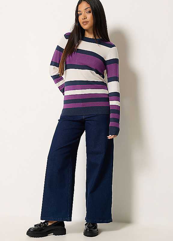 M&Co Petites Women's Purple Mco Petites Stripe Crew Neck Jumper