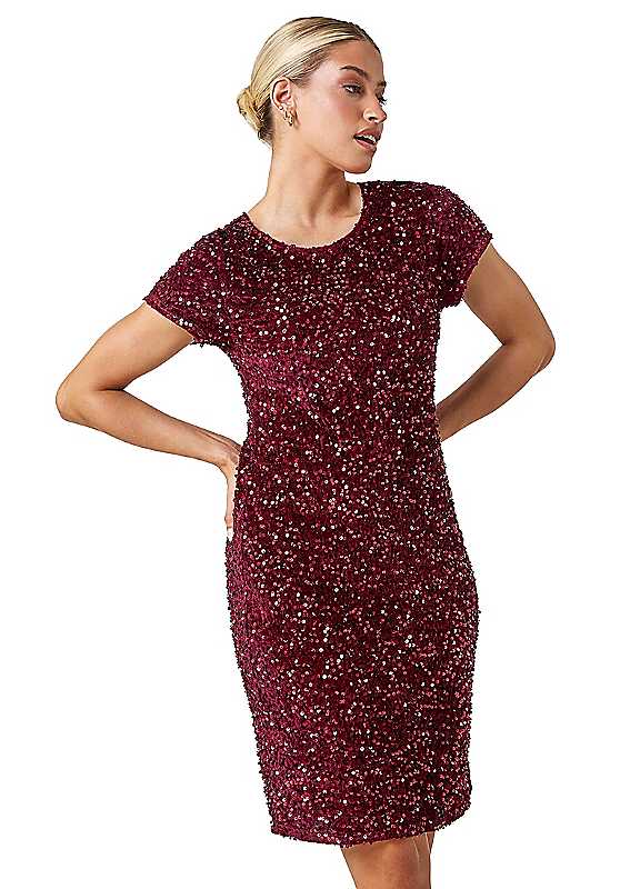 Roman Wine Sequin Velvet Shift Dress - Image 6