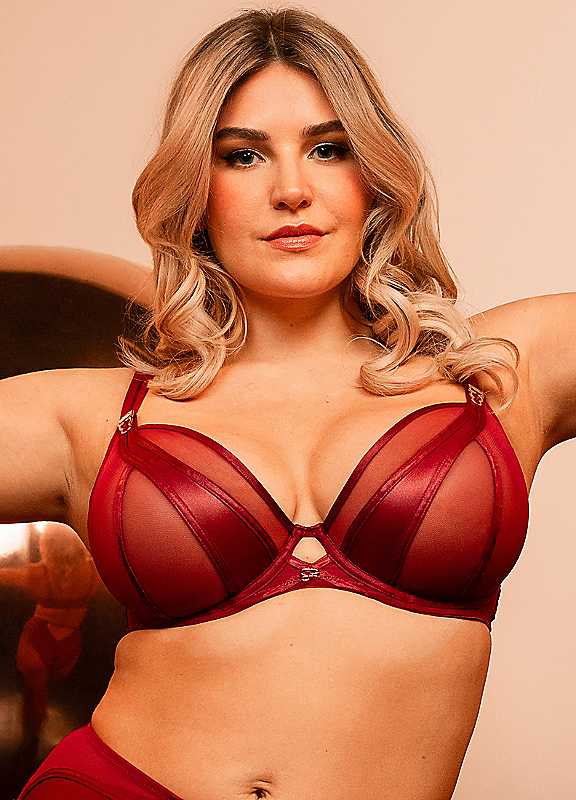 Scantilly By Curvy Kate Sangria Suspense Underwired Plunge Bra 42Ff