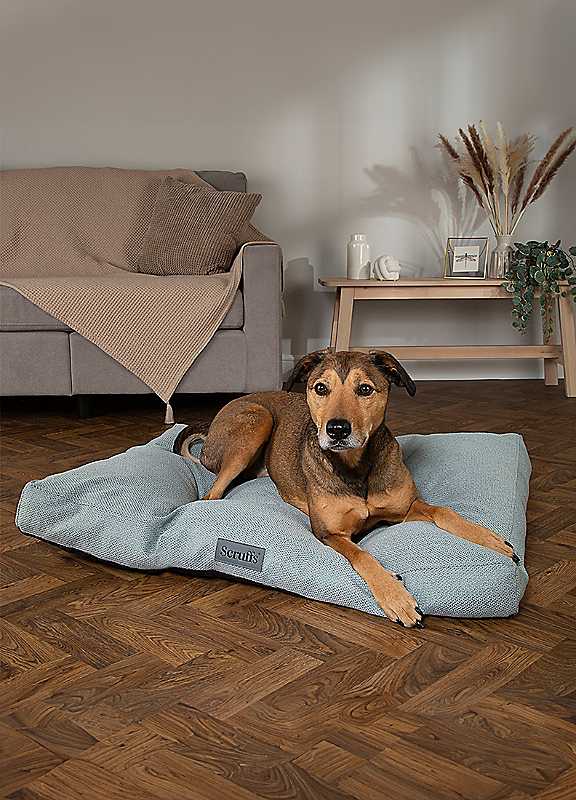 Scruffs Green Seattle Dog Mattress Large