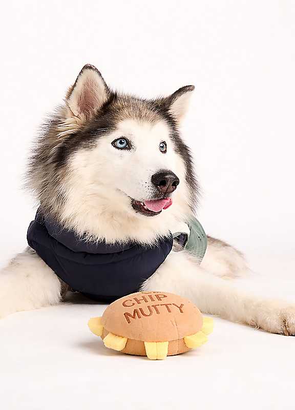 TOG24 'Chip Mutty' Dog Plush Toy in Brown - Image 2